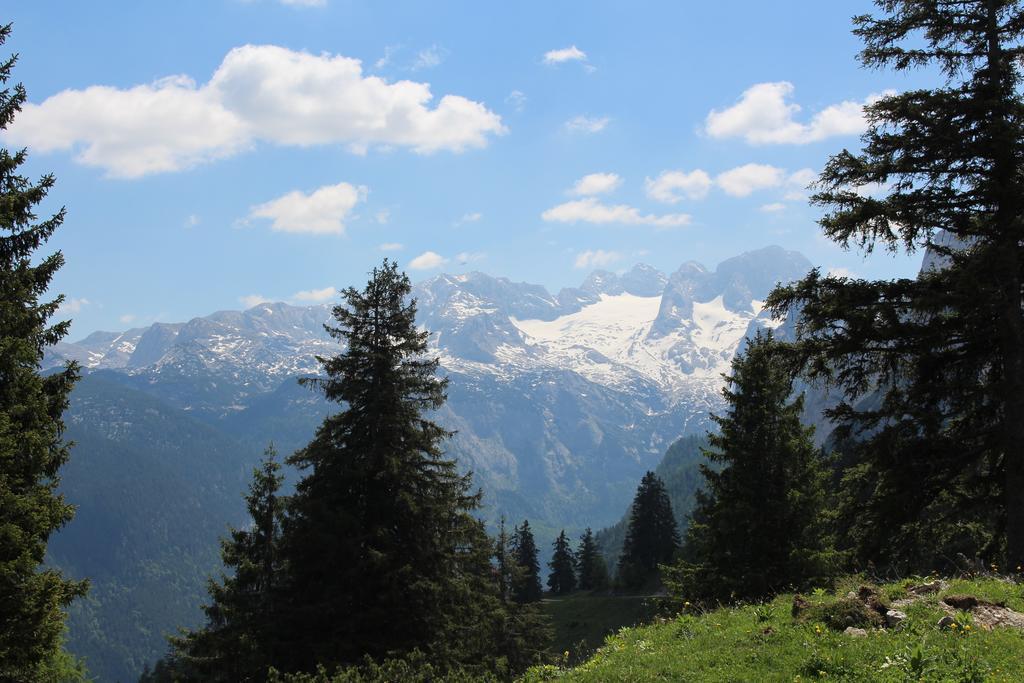 אנברג אים לאמרטל Salzburger Dolomitenhof מראה חיצוני תמונה