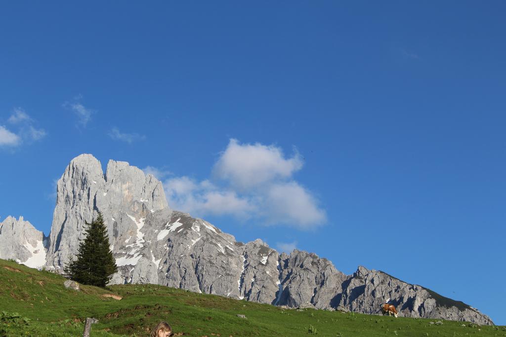 אנברג אים לאמרטל Salzburger Dolomitenhof מראה חיצוני תמונה