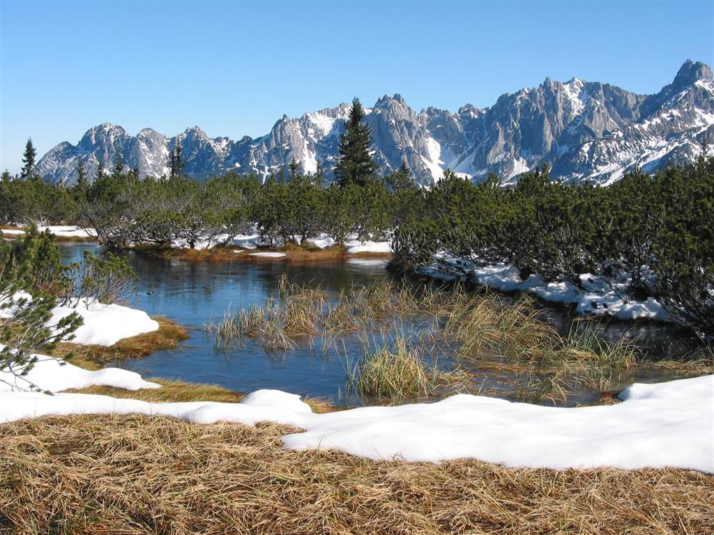 אנברג אים לאמרטל Salzburger Dolomitenhof מראה חיצוני תמונה