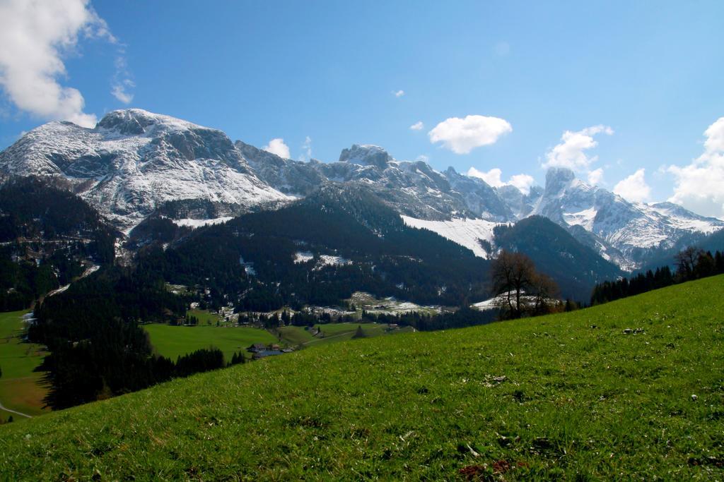 אנברג אים לאמרטל Salzburger Dolomitenhof מראה חיצוני תמונה
