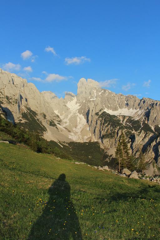 אנברג אים לאמרטל Salzburger Dolomitenhof מראה חיצוני תמונה